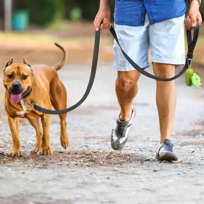 Reflective Dog Pet Hand Holding Rope