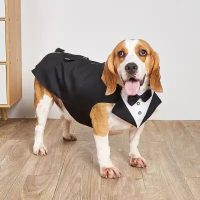 Dog Pet Swallowtail Wedding Clothing Suit Jacket