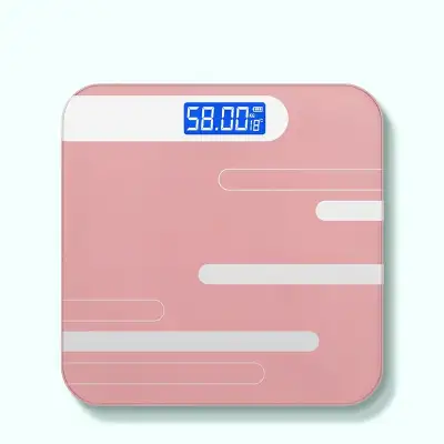 Electronic Scale Body Scale Weight Scale Charging