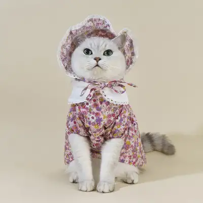 Girly Style Floral Lace Princess Dress Cat Costume