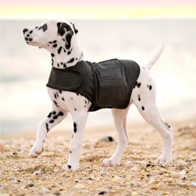 Fashion Dog Clothes Warm Vest