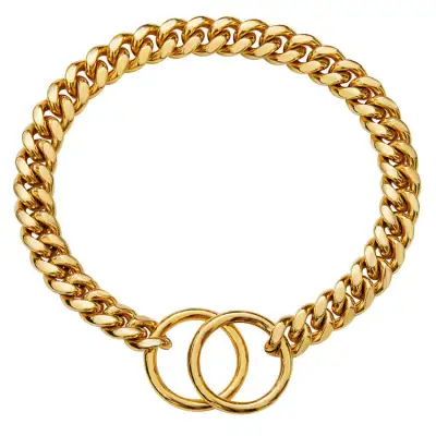 Pet Supplies Stainless Steel Drag Chain Double Ring