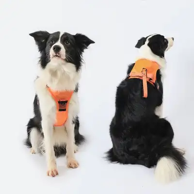 Pet Supplies Dog Chest And Back Integrated Puppy Vest Hand Holding Rope