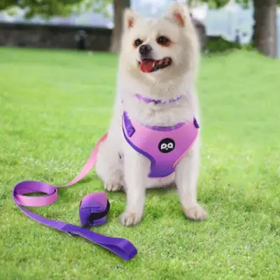 Pet Dog Hand Holding Rope Strap Suit