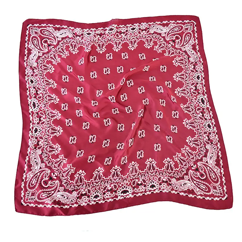 Women's Paisley 70cm Professional Scarf