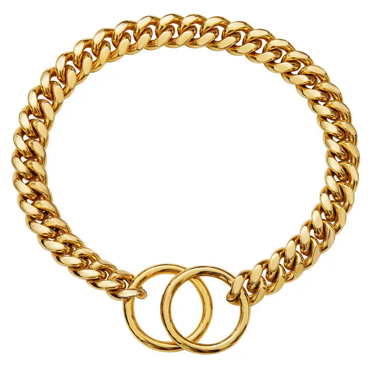 Pet Supplies Stainless Steel Drag Chain Double Ring