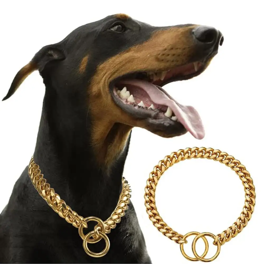 Pet Supplies Stainless Steel Drag Chain Double Ring